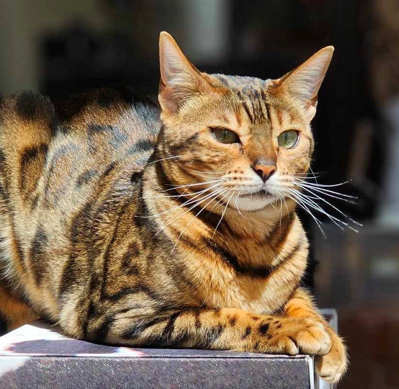 367754435_107114855822588_4125741605035009098_n